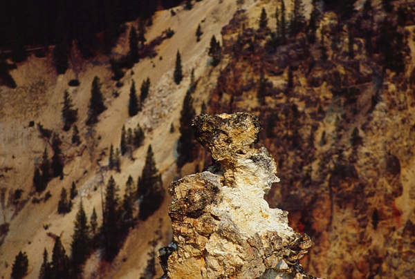 20000801   Yellowstone 114